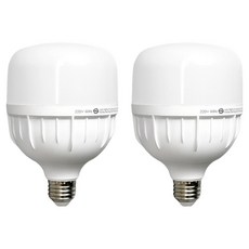 BLINGLIGHT GS LED E26 高瓦數三波長燈泡 30W, 晝光色, 2個