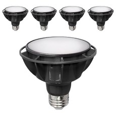 BLINGLIGHT 乾式 VO LED PAR30 15W 擴散型燈泡 黑色, 燈泡色, 5個