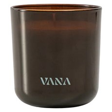VANA 香氛蠟燭 樺樹禮讚 柑橘森林調 天然植物蠟 純素安心使用 療癒居家香氛 室內香氛, 250g, 1件, Birch Bliss