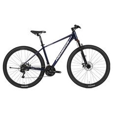 프로마스터 엑스씨 2.1D 29 풀인터널 18 MTB 자전거 방문설치, 카멜레온블루, 1개, 180cm
