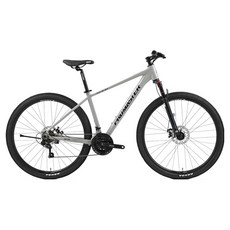 프로마스터 엑스씨 2.1D 29 풀인터널 18 MTB 자전거 방문설치, 글로시그레이, 1개, 180cm