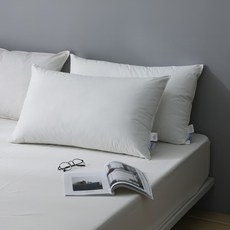 HOYACASA 禾雅寢具 德國淨眠物理防蟎天絲枕