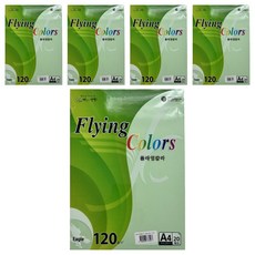 samwon PAPER 飛彩 淺綠色 FSC M 120g/m2 210 x 297 mm 5包, 100個, A4