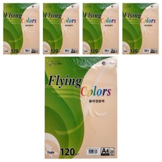 samwon PAPER Flying Color 蜜桃色 FSC M 120g/m2 210 x 297 mm 5張, 100個, A4