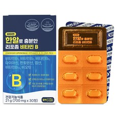 파마젠 리포좀 비타민 B 21g, 1개