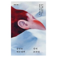 감정을 마주하면 길이 보인다(큰글자도서):내 삶을 가로막는 핵심 감정에서 벗어나 온전한 나로 사는 법, 문요한, 서스테인