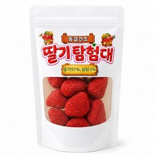 아이들이 좋아하는 딸기탐험대 동결건조 딸기칩, 80g, 1개