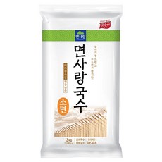 Noodle Lovers 麵條 細麵, 3kg, 1個