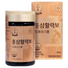 정관장 홍삼활력보, 250g, 1개