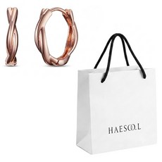 HAESOOL 海秀兒 925銀耳環 YUE4320 + 購物袋