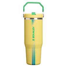STANLEY 經典系列 IceFlow 手提吸管杯 2.0, TEAM 巴西/澳洲, 1個, 880ml