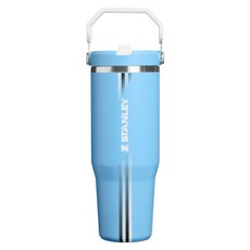 STANLEY 經典系列 IceFlow 手提吸管杯 2.0, TEAM 阿根廷/烏拉圭, 1個, 880ml