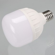 비츠온 LED 전구 T벌브 램프 40W 6500K E39, 주광색, 1개