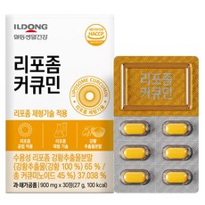 일동생활건강 리포좀 커큐민 27g, 1개, 30정
