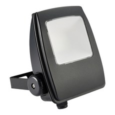 EVERLIGHT 億光 星宇投光燈 塑膠殼 30W, 白光, 1件