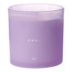 wxy. 經典XL款蠟燭 eos., 1500g, 1件, 鳶尾根 & 琥珀