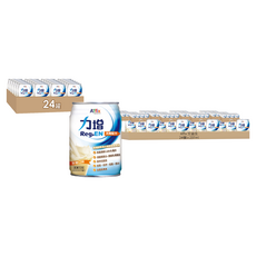 Affix 艾益生 Reg.EN 力增 洗腎配方 焦糖口味, 24個, 237ml