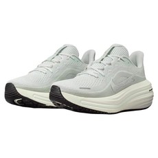 NIKE 耐吉 女款 W NIKE AIR WINFLO 12 運動鞋 HV9273-104