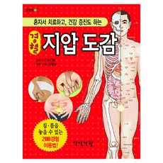경혈 지압도감