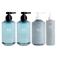 EPURE 伊普兒 淨屑頭皮磨砂洗護4件組 A2 積雪草淨屑洗髮露 500ml 2個 + B1 西班牙藻土角質煥膚泥 250ml+ B2 角蛋白保濕護髮素 500ml, 1組
