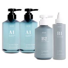 EPURE 伊普兒 控油頭皮磨砂洗護組 A1 PCA控油鎖水洗髮露 500ml 2個 + B1 西班牙藻土角質煥膚泥 250ml + B2 角蛋白保濕護髮素 500ml, 1組