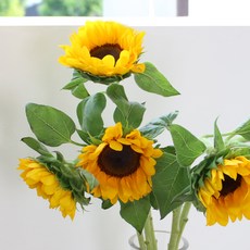 아임플라워 생화 해바라기 꽃다발_4p, 혼합색상, 1세트