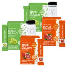 참앤들황토농원 데이앤 콤부차 샤인머스켓 + 모로오렌지 + 전용보틀 세트, 2세트, 150g, 2개입