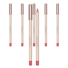 더샘 커버 퍼펙션 립 펜슬 2g, 10 어베인, 6개