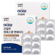 일동후디스 하이뮨 관절엔 엠에스엠 엔에이지 66g, 60정, 2개