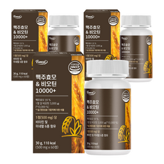 퍼니트 맥주효모 비오틴 10000 플러스, 60정, 3개