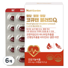 뉴트리가든 코큐텐 블러드Q 16.5g, 6개, 30정