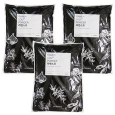딜리셔스마켓 천연향신료 라면스프 팩, 500g, 3개