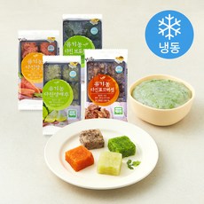 웰팜넷 유기가공식품 인증 이유식용 다진채소 혼합 4종 세트 2호 (냉동), 390g, 1세트