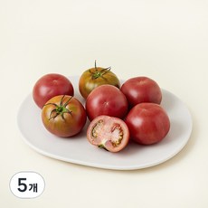 제이드가든 토렌지 토마토, 600g, 5개