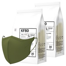 다나마스크 오브 쿨 뷰티라인 마스크 대형 KF80, 30개입, 2개, 10 아비스트 그린