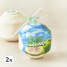 수플린 베트남산 영코코넛, 2개, 900g