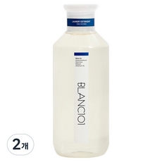 블랑101 세탁세제 문온 본품, 2개, 1L