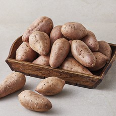 호박고구마, 5kg(특상), 1개