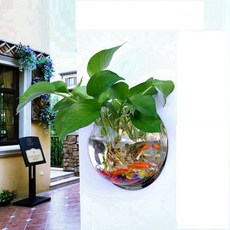 Life Sweet 壓克力壁掛式花盆 魚缸, 透明鏡面