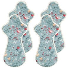 이채 순면 날개형 생리대 블루코이, 2개, 2매입, 오버나이트 이상