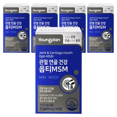 Youngplan Opti MSM 2000&維他命D錠, 5個, 90顆