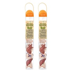 Safari Ltd 人體器官模型組 689304, 2個