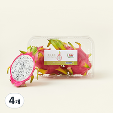 돌 점보 용과 2입, 4개, 1.1kg