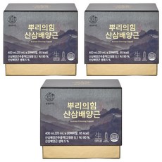 천지인 뿌리의힘 산삼배양근, 60개, 20ml