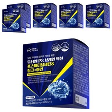 케어란스 두뇌엔 PS 브레인 액션 포스파티딜세린 징코 아연 영양제 2.4g, 6개, 6정