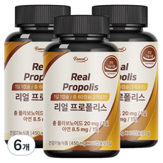 퍼니트 리얼 프로폴리스, 6개, 27g
