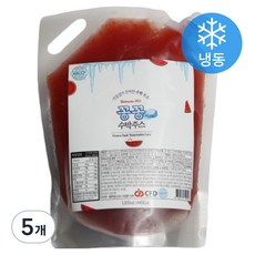 꽁꽁 수박주스 (냉동), 5개, 1L