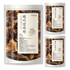 한방선생 볶은 돼지감자차, 200g, 3개