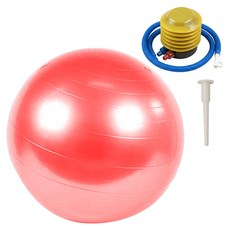 디어모모 홈트 홈짐 필라테스 요가 짐볼, 레드