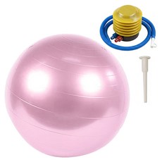 Dearmomo 居家訓練 家庭健身房 皮拉提斯 瑜珈 健身球